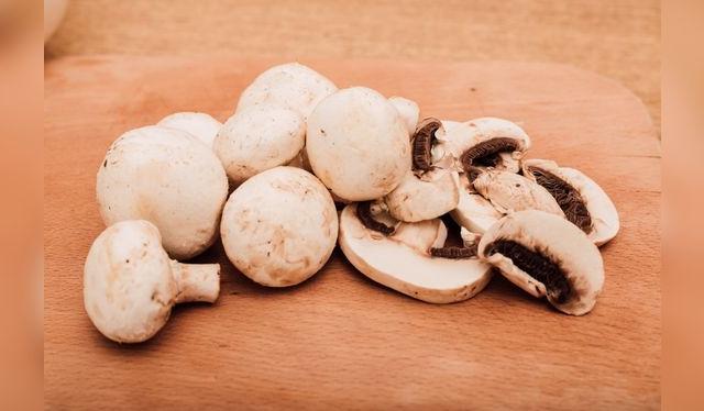 Los champiñones son una especie de hongo comestible y nutritivo. Los champiñones son una especie de hongo comestible y nutritivo.