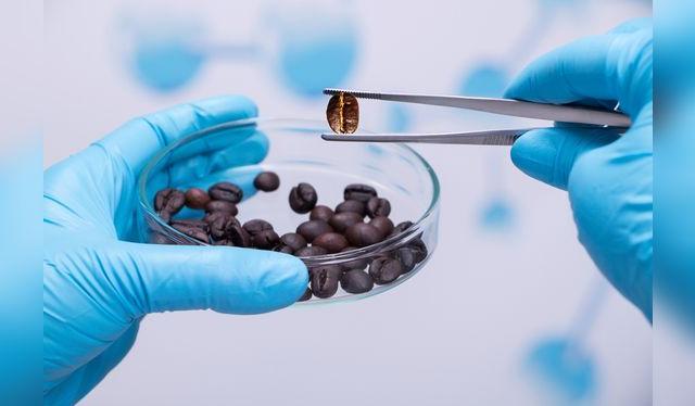 A nivel de antioxidantes, un café hecho con granos de café molido, no difiere de uno instantáneo.    