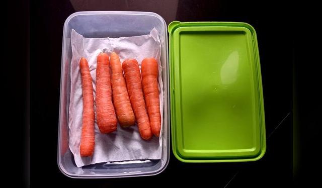 El papel toalla ayuda a absorber la humedad. No olvides cambiarlo.    