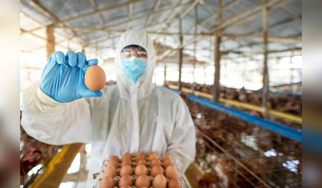 El huevo es un producto fantástico, pero delicado.   