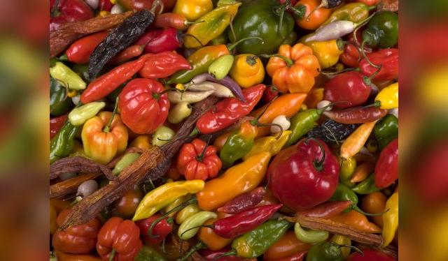 En el Perú hay decenas de ajíes, propias de las cocinas regionales.    