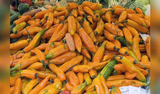 Cuando es joven, tiene color verde, y se torna naranja a medida que madura.  