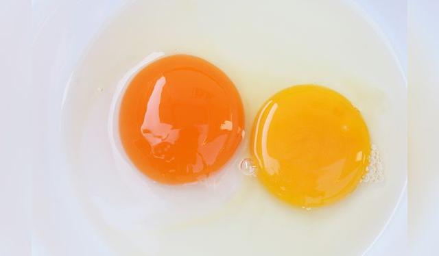 El color de la yema no siempre es un indicador de la calidad del huevo. El color de la yema no siempre es un indicador de la calidad del huevo.