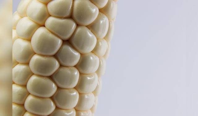 El maíz blanco es el corazón de la chochoca: cocido y sin cáscara y luego secado al sol. El maíz blanco es el corazón de la chochoca: cocido y sin cáscara y luego secado al sol.