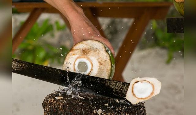 Para abrir un coco verde se necesita un cuchillo largo y filudo como el machete, y una buena técnica.   