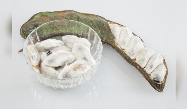 El fruto de la vaina del pacae es una fibra dulce que envuelve la semilla.   