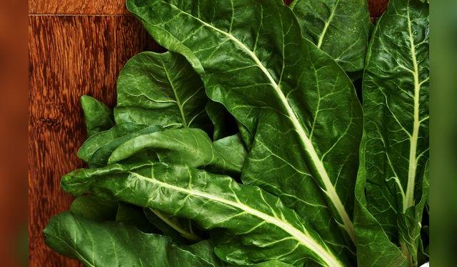 <em>La acelga tiene propiedades digestivas y antioxidantes que ayudan al tratamiento de los trastornos estomacales.</em>   