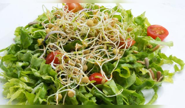 Foto referencial Foto referencial