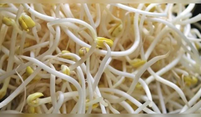  <em>Foto referencial</em>    