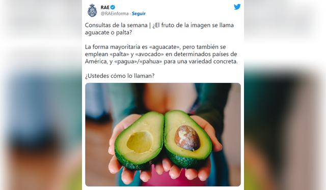 RAE aclarando que es válido decir palta o aguacate   