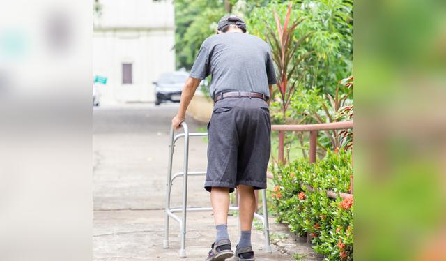 Las semillas de sésamo son una rica fuente de calcio y para la salud ósea. Las semillas de sésamo son una rica fuente de calcio y para la salud ósea.