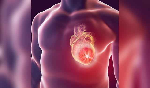 El consumo moderado de café se asocia con un menor riesgo de enfermedades cardiovasculares, según estudios.   