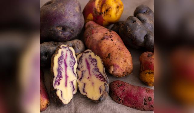 La variedad de insumos que se encuentran en el Perú es única en todo el mundo.   