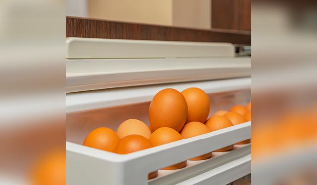 Guardar huevos en la puerta acelera su descomposición.   