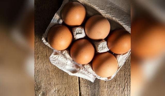 Guardar huevos en caja de cartón favorece la contaminación por bacterias.   