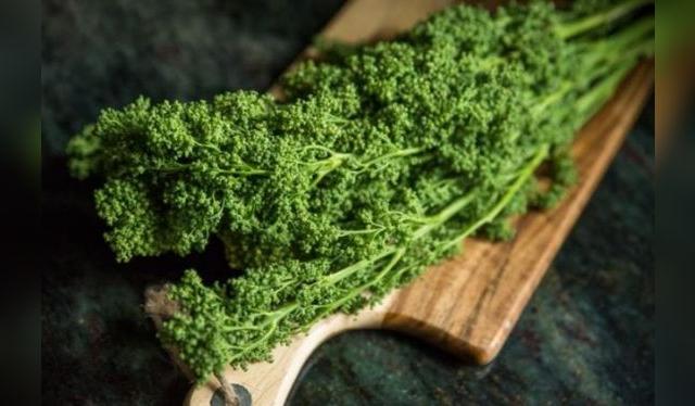 El huauzontle, conocido como "cabello del bledo", es una planta mexicana con propiedades nutricionales destacadas. El huauzontle, conocido como "cabello del bledo", es una planta mexicana con propiedades nutricionales destacadas.