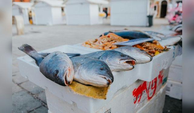El consumo de pescado azul aporta beneficios significativos para la salud, como la reducción del colesterol. El consumo de pescado azul aporta beneficios significativos para la salud, como la reducción del colesterol.