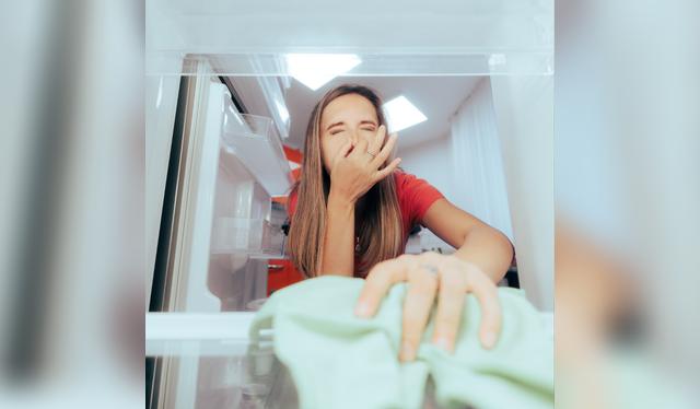 Elimina los malos olores sin productos químicos. Elimina los malos olores sin productos químicos.