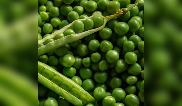 Congelar arvejas permite preservar sus beneficios nutricionales por más tiempo, según expertos.   