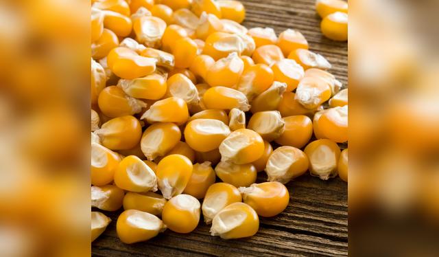 Cocido al vapor, el maíz congelado libera más antioxidantes, aliados clave para tus ojos y tu piel.   