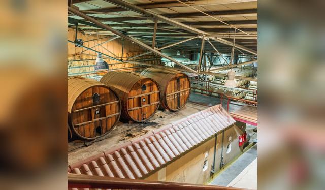 A diferencia del chileno, el pisco peruano no se rebaja con agua ni pasa por barrica.   