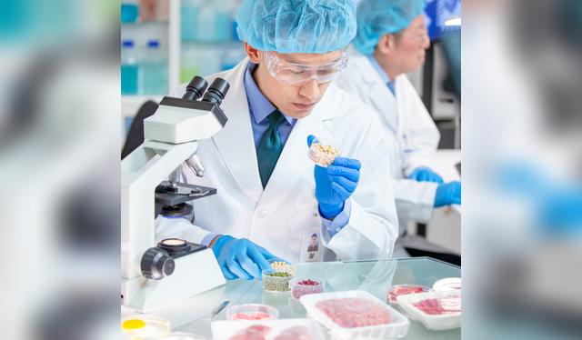 La cocina también es ciencia: desde la temperatura hasta los utensilios, cada variable puede transformar el sabor de un plato, según la química de los alimentos.   