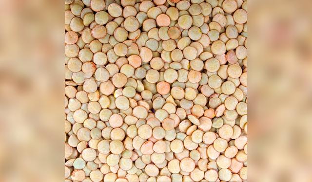 Remojar las lentejas mejora su digestión y reduce los antinutrientes.   