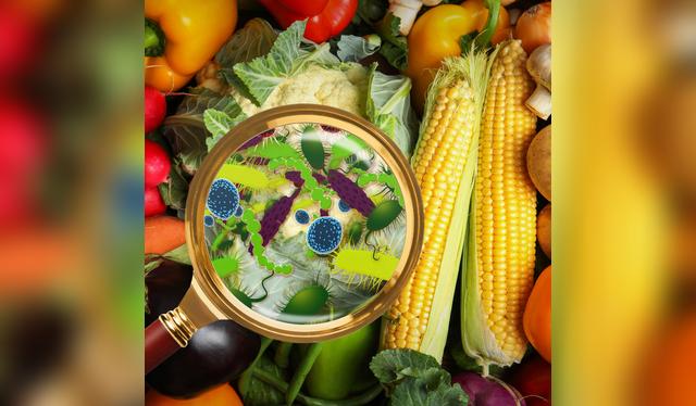 Cebolla china, tomate y pimiento: los más expuestos al pesticida clorpirifos en recientes inspecciones.   