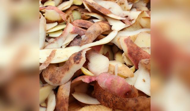  De la cocina a la chimenea: el curioso uso de las cáscaras de papa.    