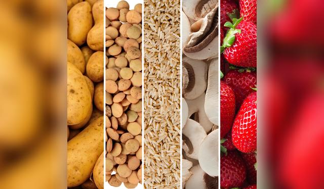 Incluir alimentos ricos en litio en la dieta, un posible aliado para cuidar la memoria. Incluir alimentos ricos en litio en la dieta, un posible aliado para cuidar la memoria.