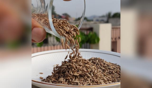 El comino, la especia natural que alivia gases y mejora la digestión.   