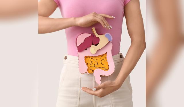 La fibra de la papaya contribuye a regular el tránsito intestinal y prevenir el estreñimiento. La fibra de la papaya contribuye a regular el tránsito intestinal y prevenir el estreñimiento.