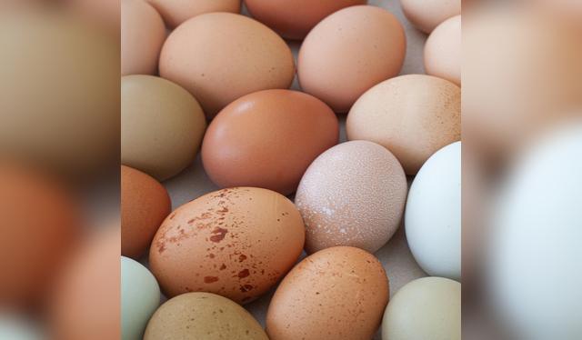 Tanto los huevos blancos como los marrones aportan proteína, vitaminas y minerales esenciales.   