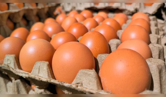 Lo ideal es consumir un huevo diario.   