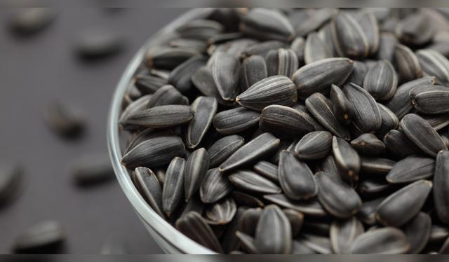 La ciencia confirma: las semillas de girasol protegen tu corazón y tu piel. La ciencia confirma: las semillas de girasol protegen tu corazón y tu piel.