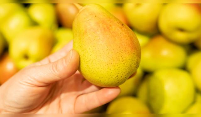 Su capacidad para regular el azúcar en sangre la hace recomendable para personas con diabetes. Fuente: Shutterstock. Su capacidad para regular el azúcar en sangre la hace recomendable para personas con diabetes. Fuente: Shutterstock.