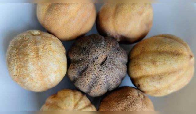 Usa un recipiente hermético o papel film para conservar los limones.   