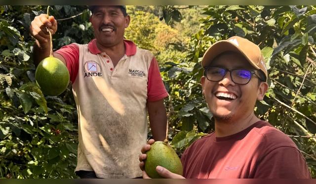 Los proveedores locales son clave en el proceso de tecnificación y mejora del café en la región.