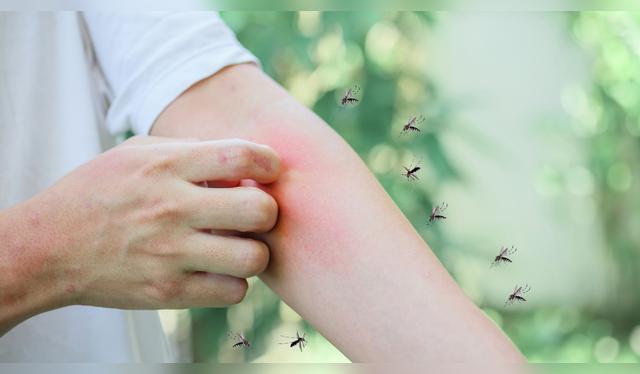 Ahuyenta a los insectos.   