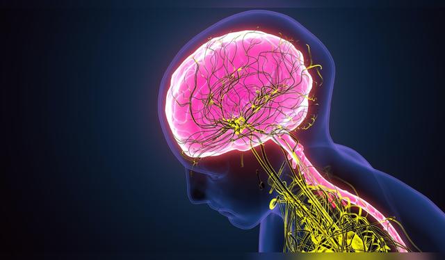 Su consumo daña el sistema neurológico. Su consumo daña el sistema neurológico.