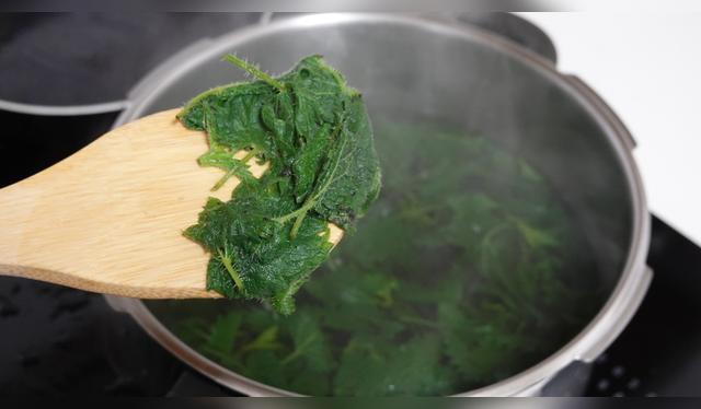 Puedes preparar té de ortiga en las cantidades deseadas.   