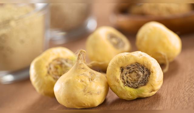 La maca, el superalimento andino que conquistó el mundo por su energía natural.