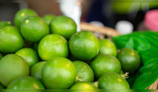 El limón repele a los insectos.   