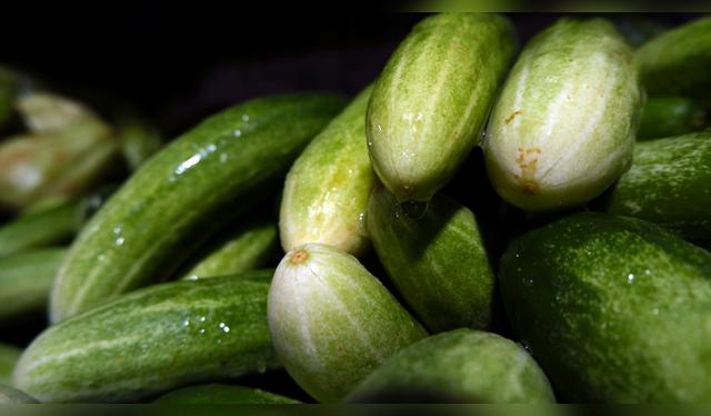 Regula la temperatura.   