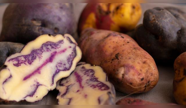 El restaurante "Nuna Raymi" en Cusco, galardonado con el Premio de Sostenibilidad, ofrece 480 tipos de papas nativas. Fuente: Shutterstock.   
