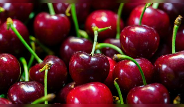 Chile aprovecha las cerezas descartadas de exportación para crear alimentos más saludables.