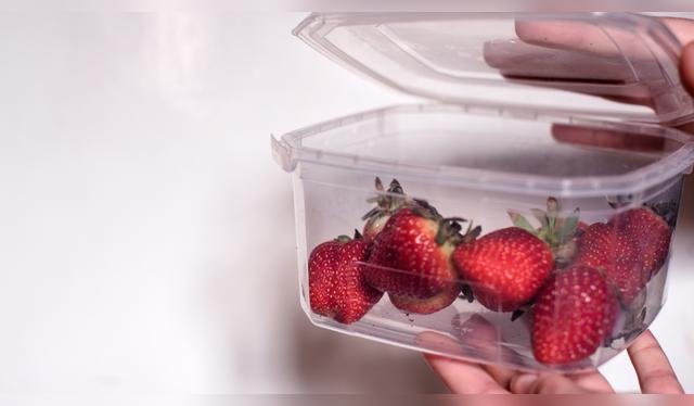 Cierra los recipientes para evitar el mal olor. Cierra los recipientes para evitar el mal olor.