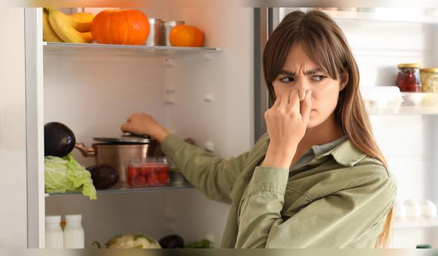 Limpiar la refrigeradora cada tres meses ayuda a conservar mejor los alimentos y evita la proliferación de bacterias.