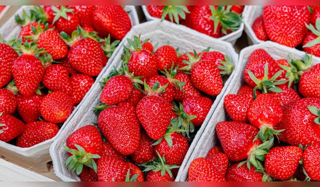 Vinagre y agua es todo lo que necesitas. Vinagre y agua es todo lo que necesitas.