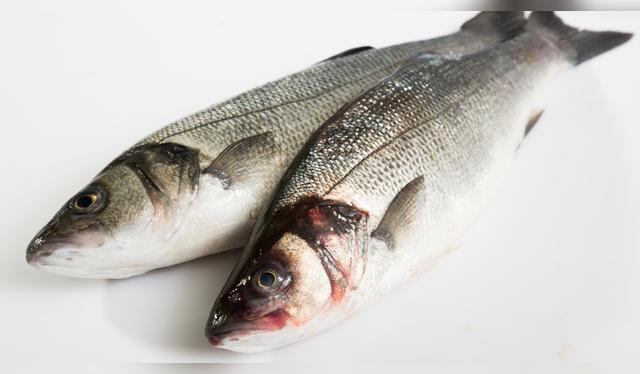 Mantener la cadena de frío es clave para evitar riesgos en preparaciones crudas. Mantener la cadena de frío es clave para evitar riesgos en preparaciones crudas.